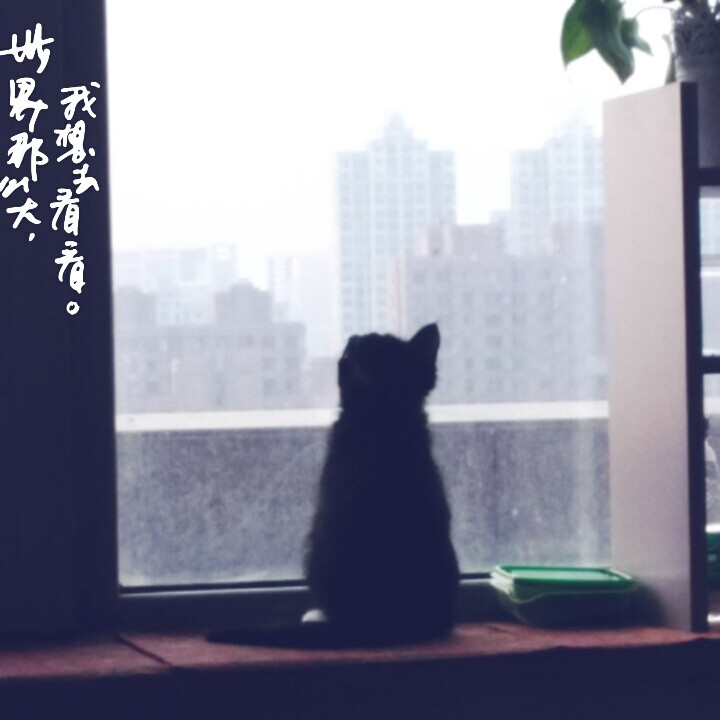 小背影