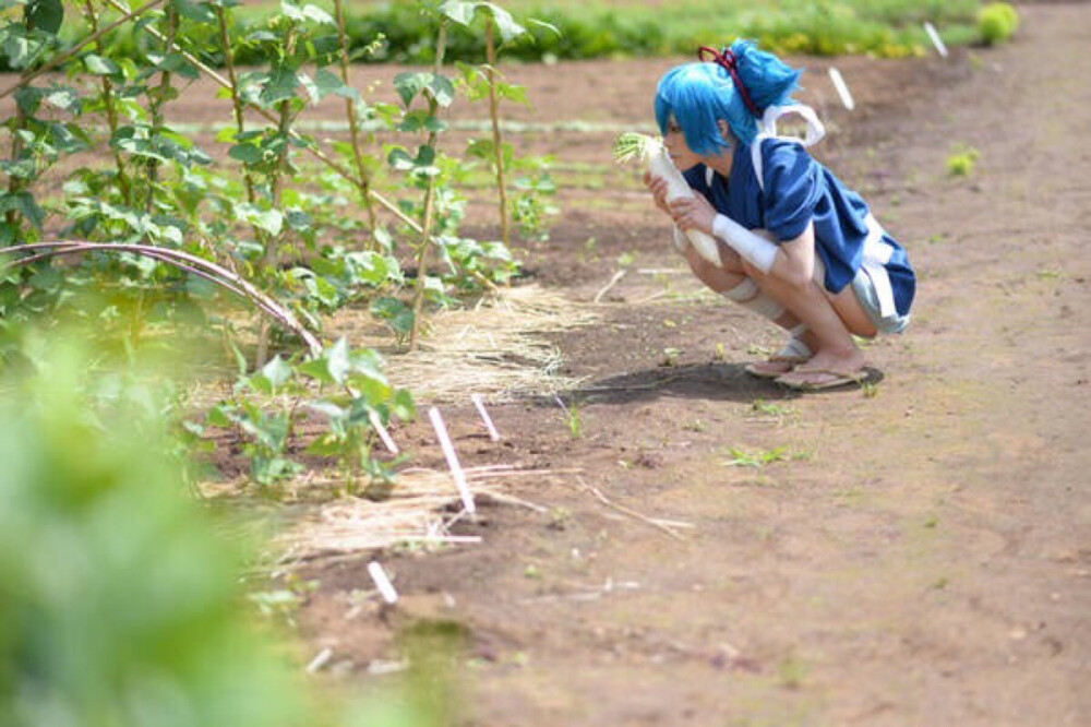 刀剑乱舞 twi：coax000