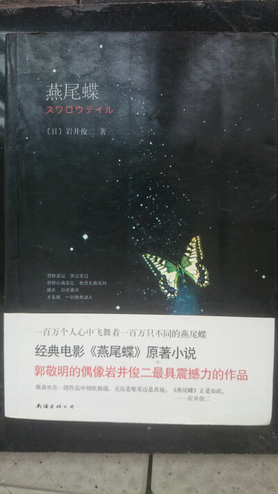 燕尾蝶——作者也说这是一本与电影毫无关系的小说。环环相扣，有一丝丝惊悚神秘的悬系小说。