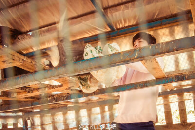 杨洋 花儿与少年