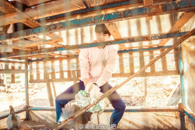 杨洋 花儿与少年