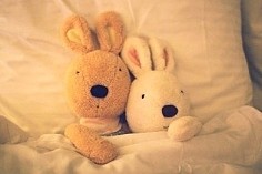 我们想拥有的它们