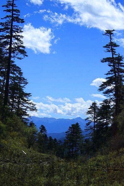 迪庆藏族自治州香格里拉县地处青藏高原南缘，横断山脉腹地，是滇、川、藏三省区交汇处?！暗锨臁辈赜镆馕凹槿缫獾牡胤健?，是世人寻觅已久的世外桃源——“香格里拉”。