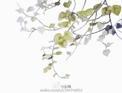 画师——容境 水彩植物九宫格 分别是芙蓉 桔梗 勿忘草 蓝色妖姬 南瓜藤 绣球花 樱桃 樱花 曼珠沙华