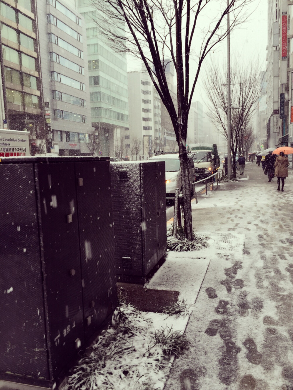 実撮影「東京、青山」雪降る東京「みのり様」