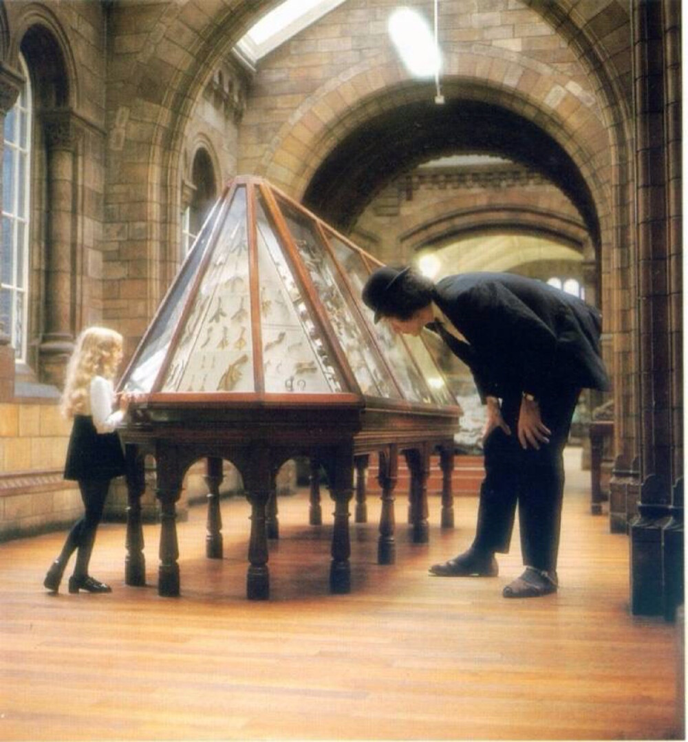 少女爱丽丝，摄于沢渡朔。