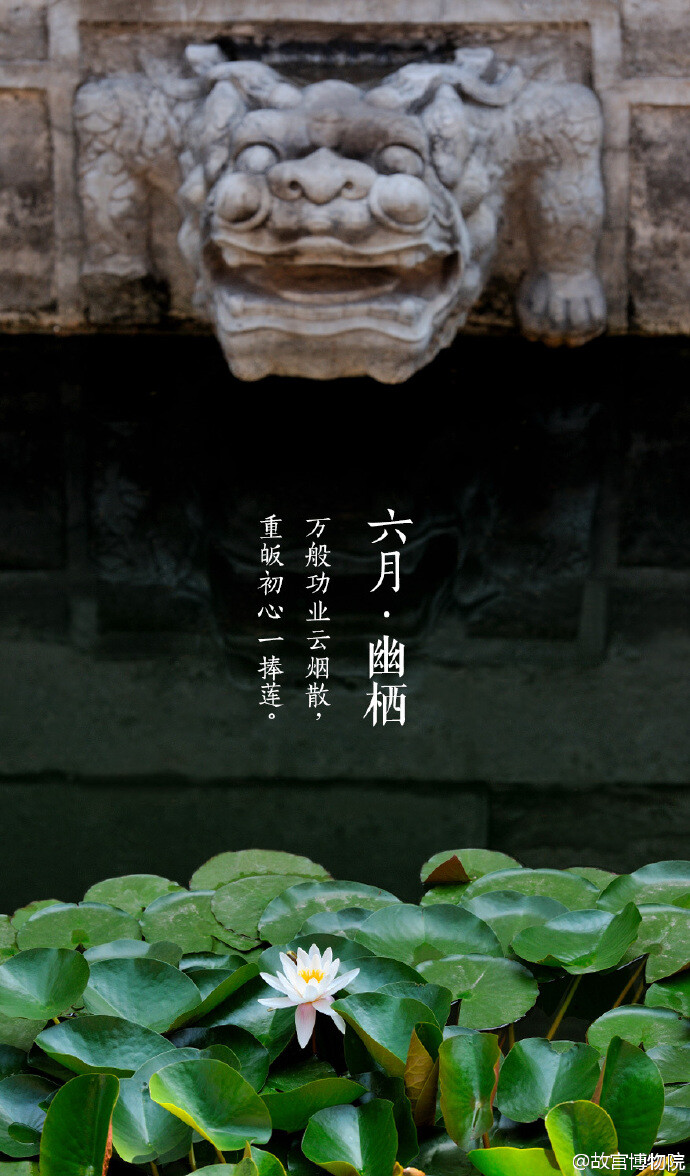  紫禁城【六月•幽栖•莲】虽然在北方没有“连雨不知春去，一晴方觉夏深”的感受，但六月的京城，也渐渐地炎热起来。紫禁城过了花季，归于平静，植被迎来了繁茂的生长，零星的小花点缀枝头。避于荫下，不禁感叹：“人皆苦炎热，我爱夏日长。” 照片取自@故宫博物院