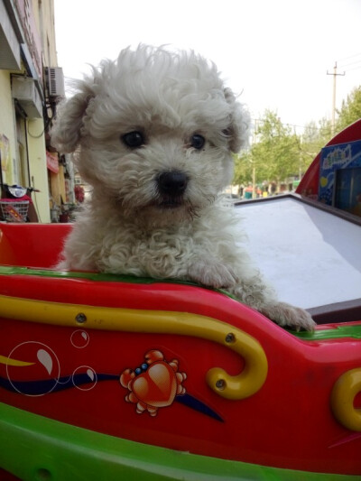 我也做摇摇车