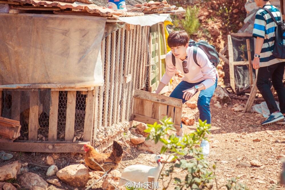 杨洋 花儿与少年