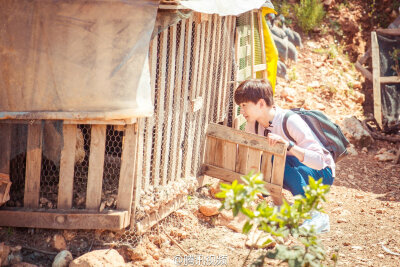 杨洋 花儿与少年