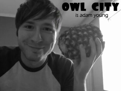 owl city