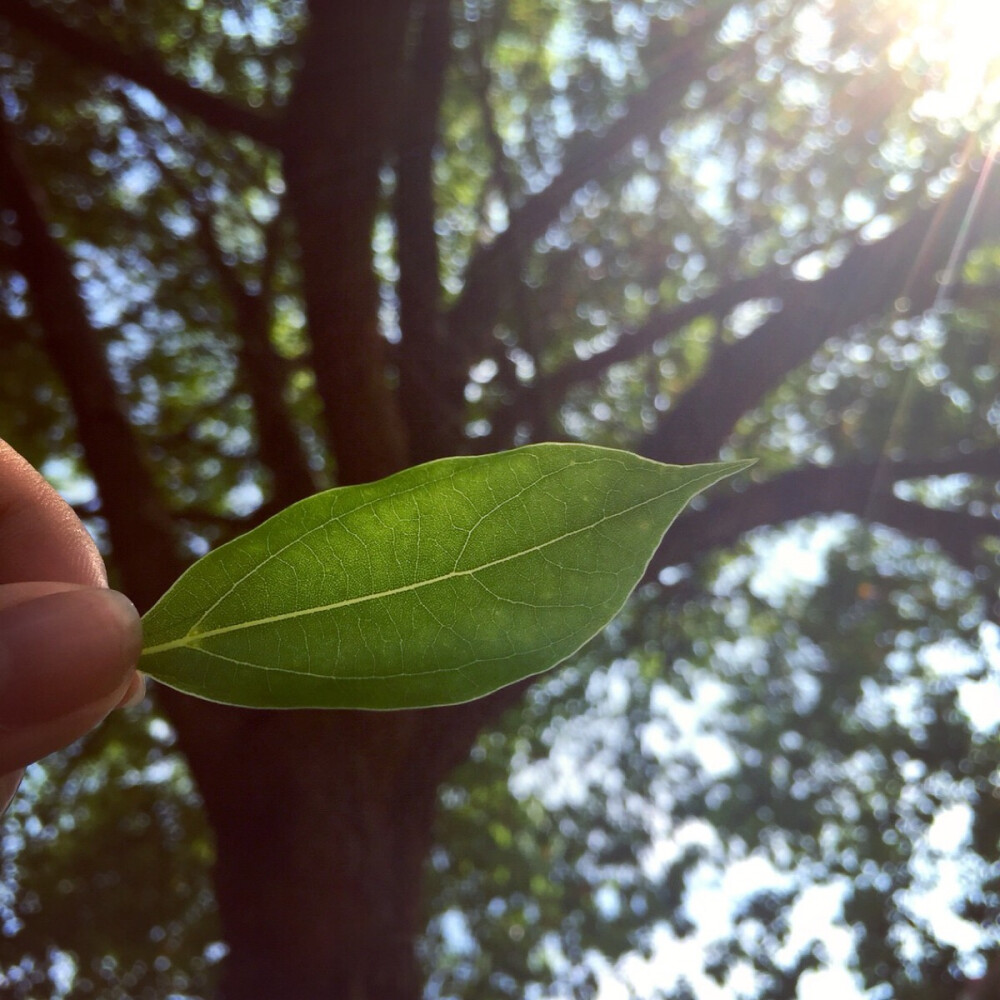 夏天真的来了☀️