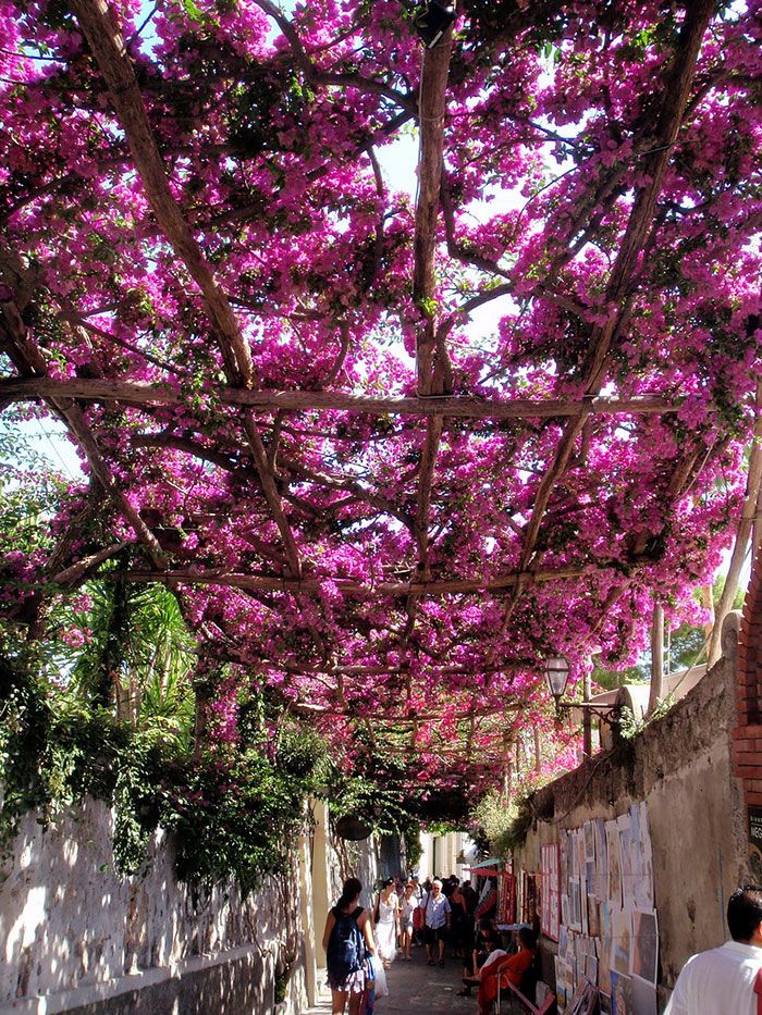 Positano, Italy。波西塔诺位于意大利坎帕尼亚大区阿马尔菲海岸‎沿岸的一个小镇。城镇主要部份背山面海，分布在高山与大海之间的平地上，一位作家这样形容：波西塔诺是一个梦乡，你在时，她不是很真切，你离开后，她变的栩栩如生。阿马尔菲海岸被誉为欧洲最美丽的海滩，这里的海岸线蜿蜒曲折，岸上山岛耸峙巍峨，山谷与海岬交错，果园与野生植物并存，原生态的自然环境中有丰富的人文历史，浓密山林中散落着许多如诗如画的小镇，而其中最漂亮的那一个叫做波西塔诺。