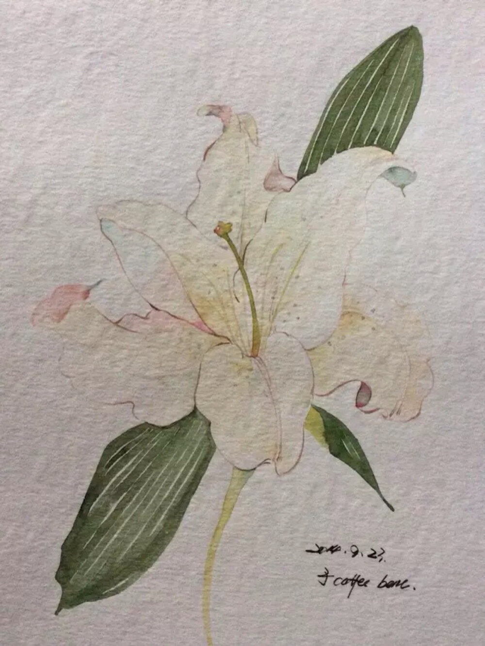 作者@南方 中国风插画 古风 古韵 水彩 花卉 花间 插画 转自网络侵删