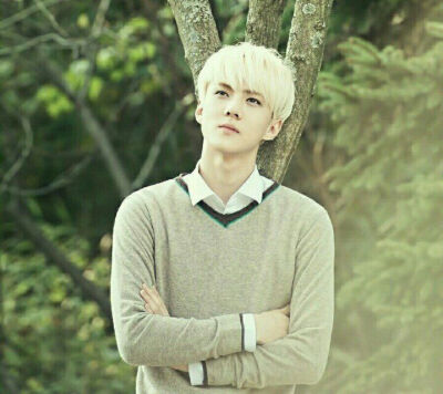 藤妍依玛 吴世勋 sehun