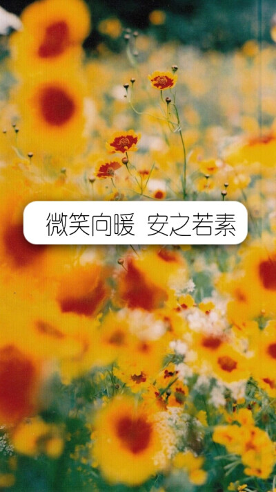 微笑向暖，安之若素。『原创』【杂句心情语录】无水印。。。