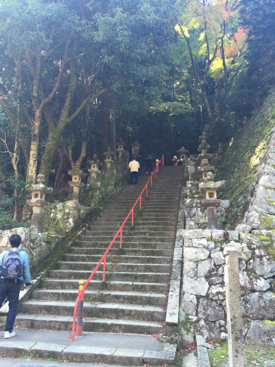 【日本】京都