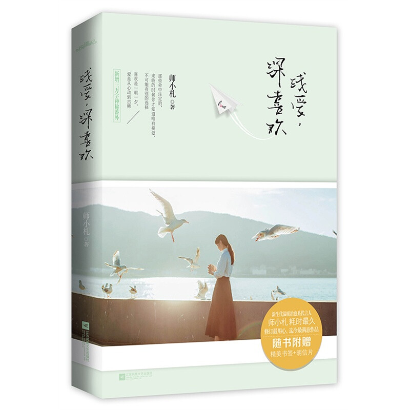 师小札《浅爱，深喜欢》——喜欢是一朝一夕，爱是从心动到古稀。他是英俊清冷、作风低调的知名建筑师，也是一个被冠以爱无能的男人。漫长的岁月里，他一直在寻觅一个答案：该如何爱上一个女人。她是温暖风趣、乐观积极的女厨师，也是一个内心藏着伤疤的女人。她在自己的生活中一路奔走，同样地寻觅那个属于自己的答案。一道意大利肉酱面让他们邂逅，他们从相识、争执、磨合到相恋相伴。