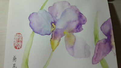 画糊了的鸢尾