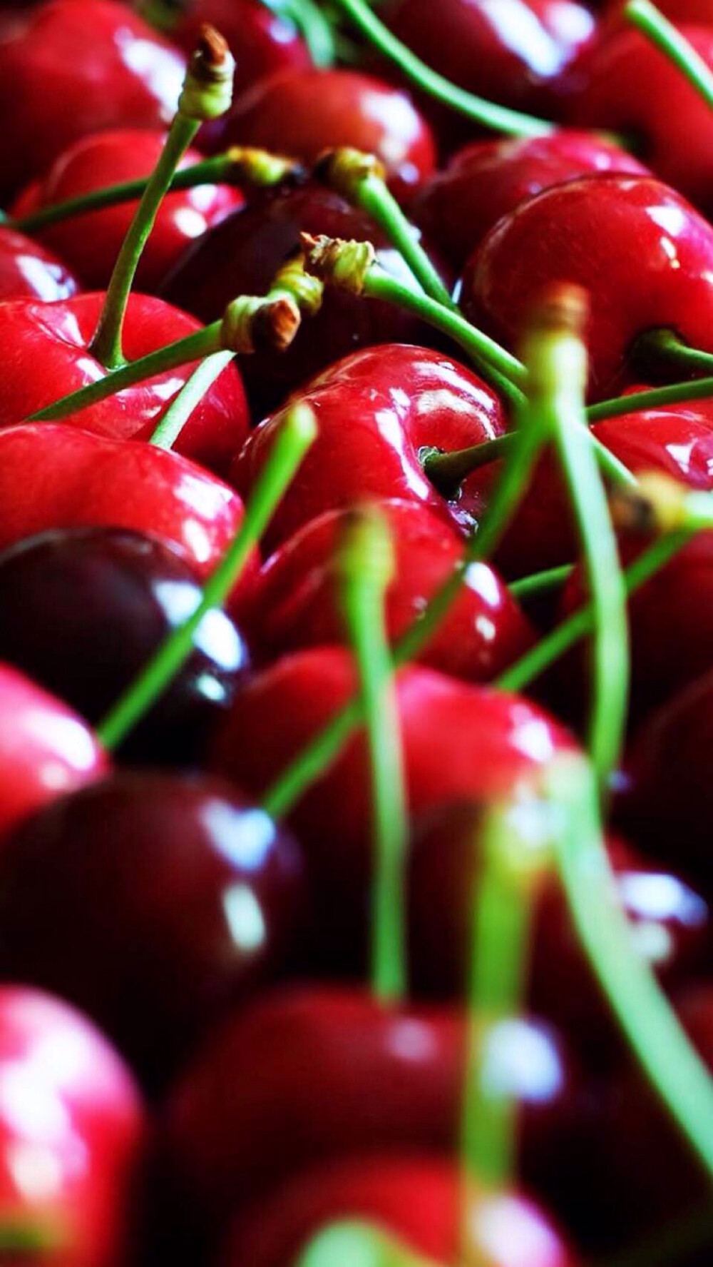 红色，樱桃，水果Cherry