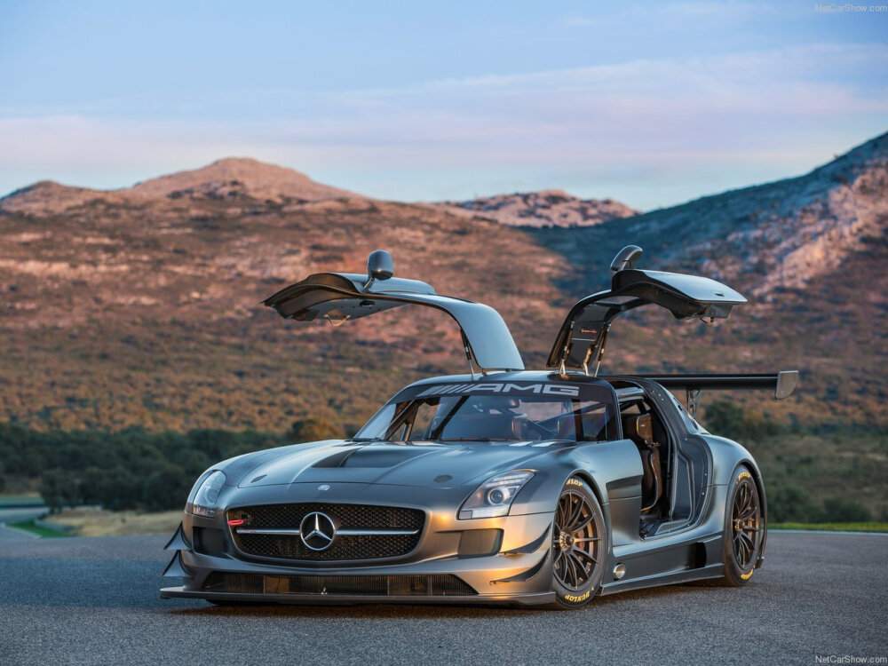 Mercedes-Benz (奔驰) SLS AMG GT3 45th Anniversary