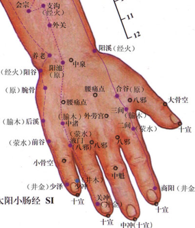 说来,这故事后面倒真没月中眠的戏份.说好的要超越还是叶死忠粉勒,看完有点和阿宁被蛇咬时差不多的小遗憾