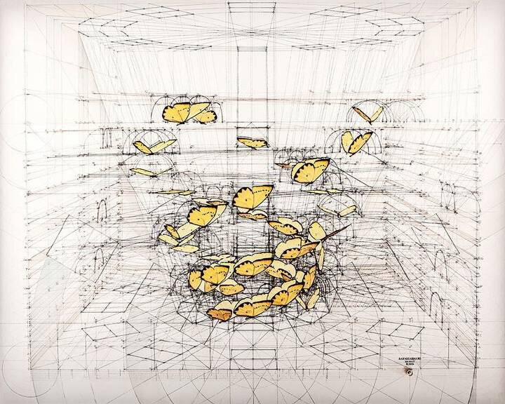 委内瑞拉艺术家 Rafael Araujo 丝毫没有使用科技产品辅助，单靠铅笔、尺、量角器就画出了大自然中的奥妙数学：蝴蝶起飞的方式，贝壳的螺旋生长比例，许多作品都带有一种达文西手稿的风味。