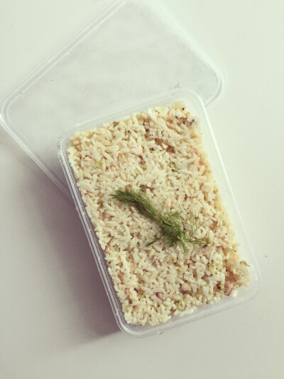 Lunch：my risotto ( ^ω^ )！！Taste like hum、and my exam just let me down…