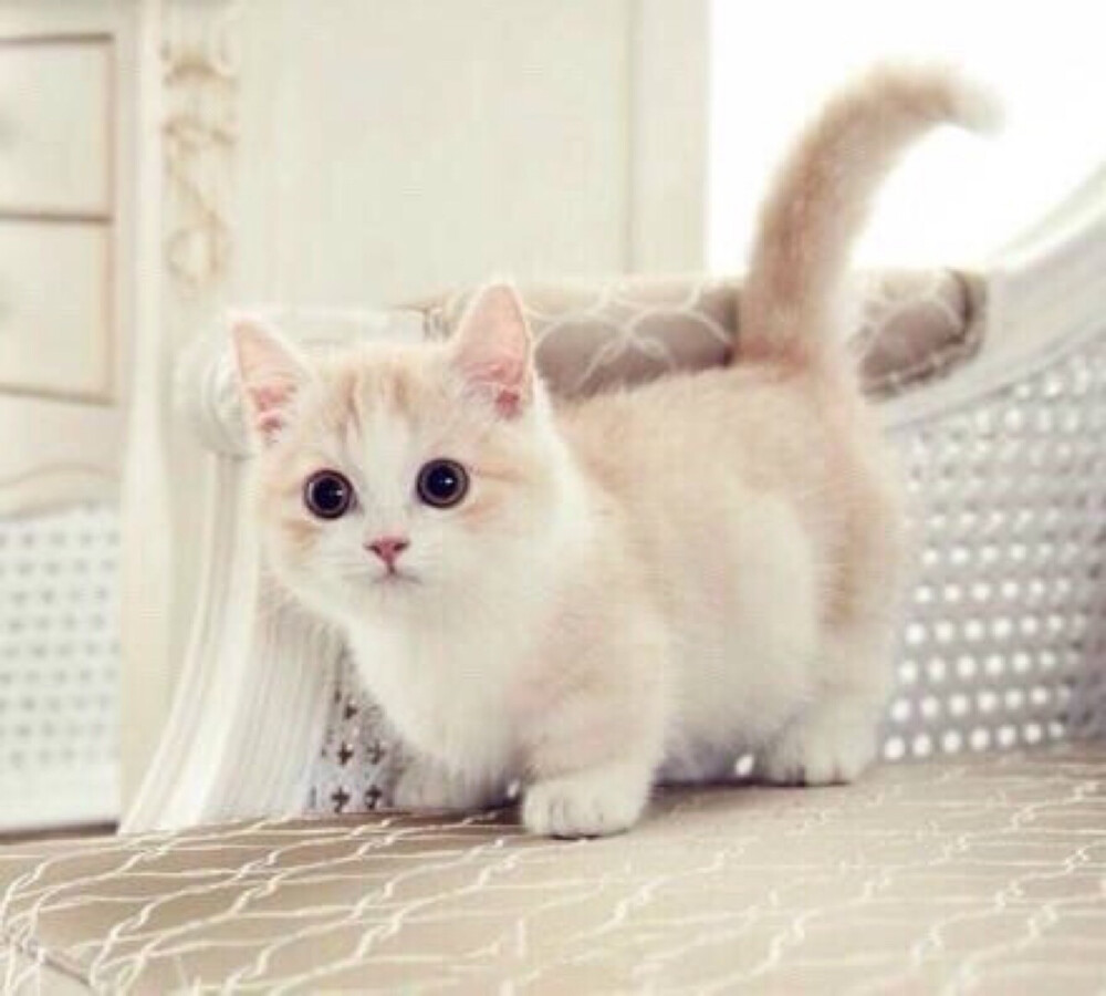 我喜欢就这样看着你，一直看到你喜欢我为止。 