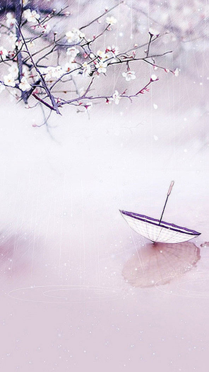 优雅雨伞浅色紫色迷情雨伞忧伤唯美意境壁纸#壁纸##优雅##唯美意境##雨伞##紫色迷情#
