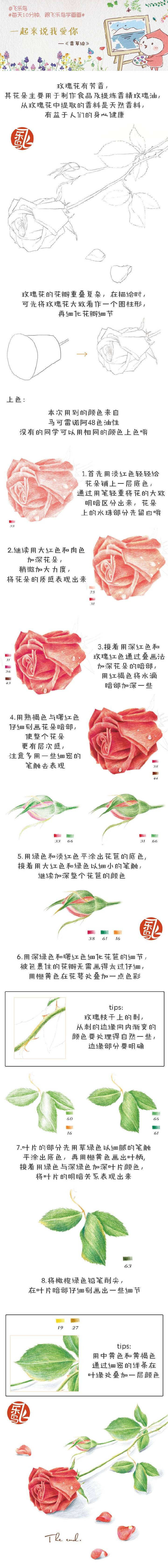 飞了鸟彩铅