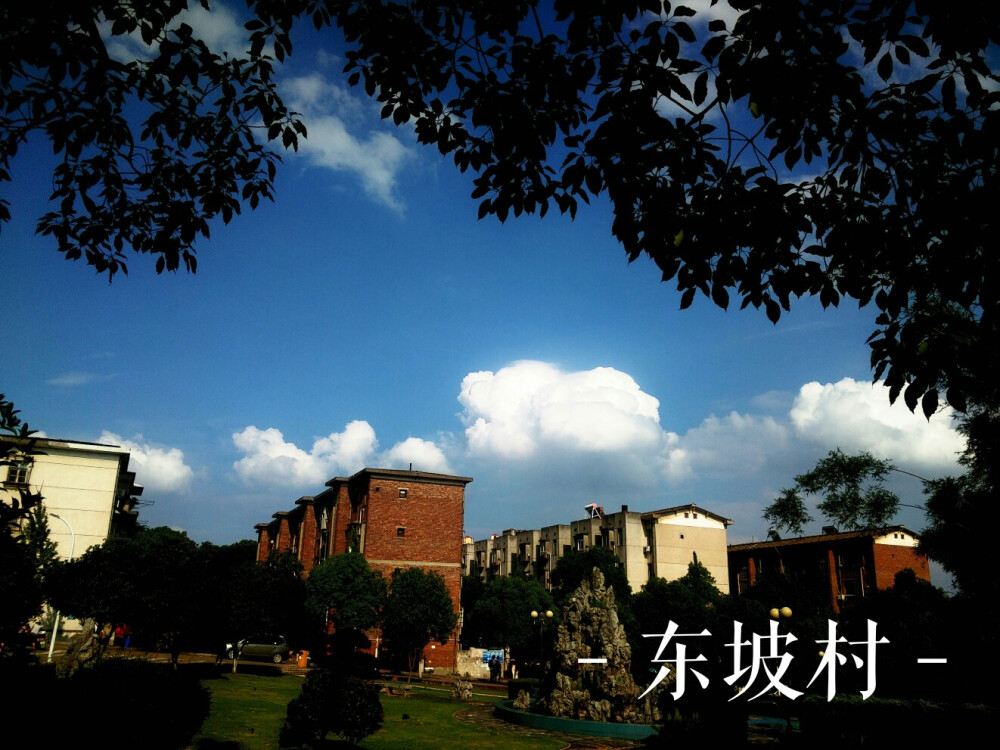 湘潭大学 东坡村 #不忘时光里的校园#