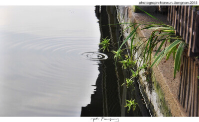 【舍弃车尘马足，临风赏柳；南下相携而行，聊赠一春。】2015/江南