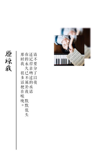 iphone壁纸歌词原谅我