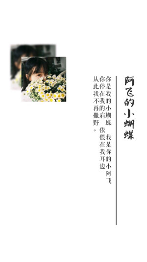iphone壁纸歌词阿飞的小蝴蝶