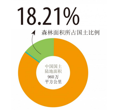 （1）中国最后的完整森林