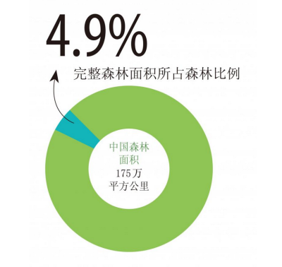 （2）中国最后的完整森林