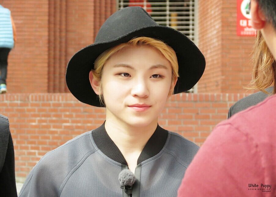 喵woozi