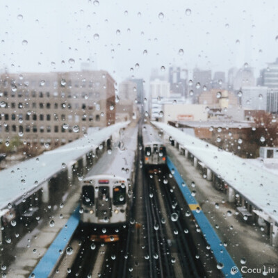 【下雨天 · Rainy days 】Instagram: @cocu_liu | 微博: @cocu_刘辰