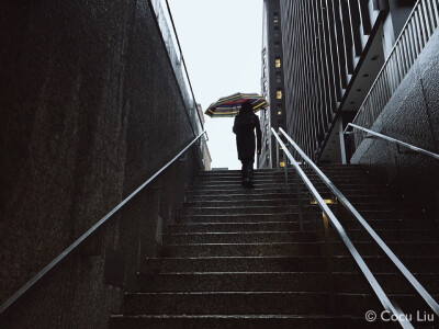 【下雨天 · Rainy days 】Instagram: @cocu_liu | 微博: @cocu_刘辰