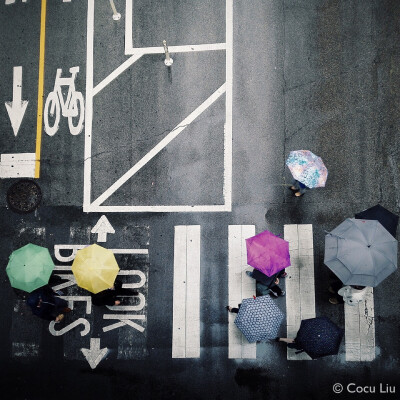 【下雨天 · Rainy days 】Instagram: @cocu_liu | 微博: @cocu_刘辰