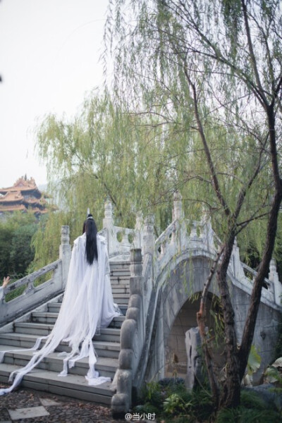 去家千里，拜上长留， 素衣轻羽，冰敛横霜， 白衣入画，一见倾城， 桃花醉时，暗生柔肠， 吴越山青，江头潮平。@W小小白W @姚璇_西子