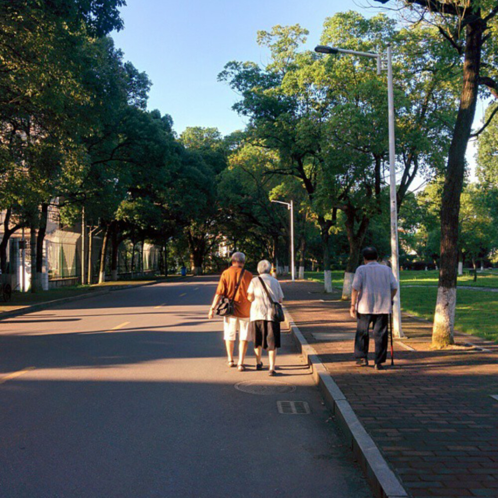 湘潭大学 一田旁 #不忘时光里的校园#