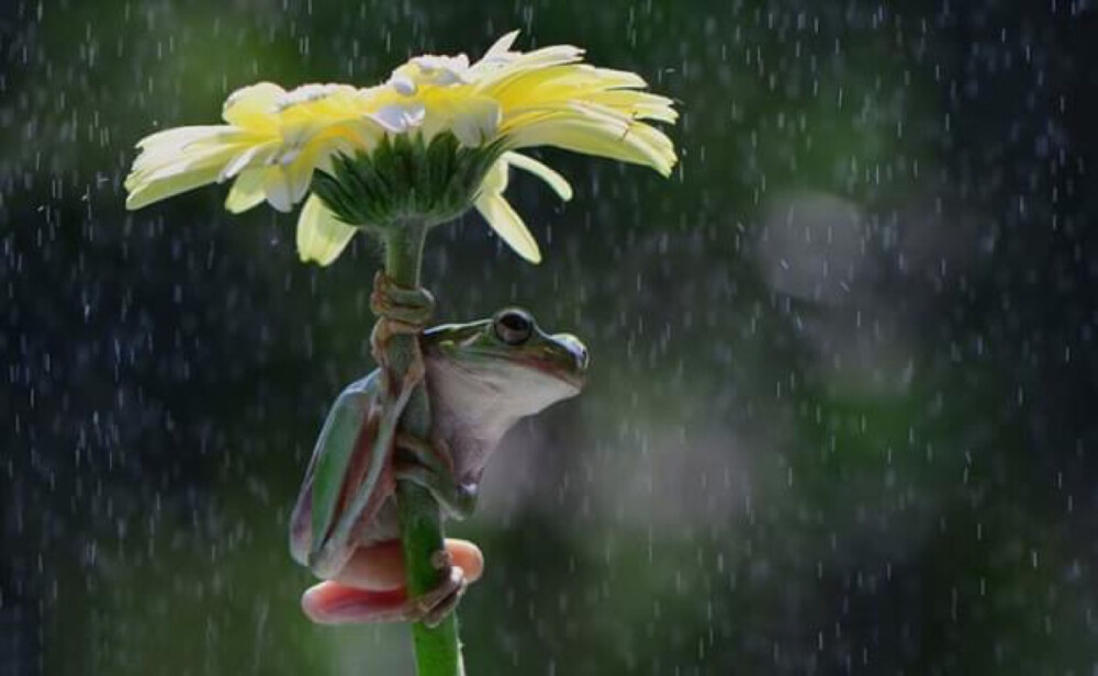 躲雨