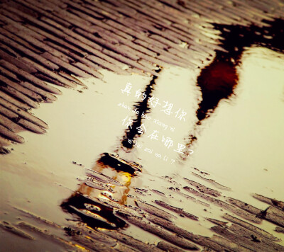 真的好想你，你会在哪里？