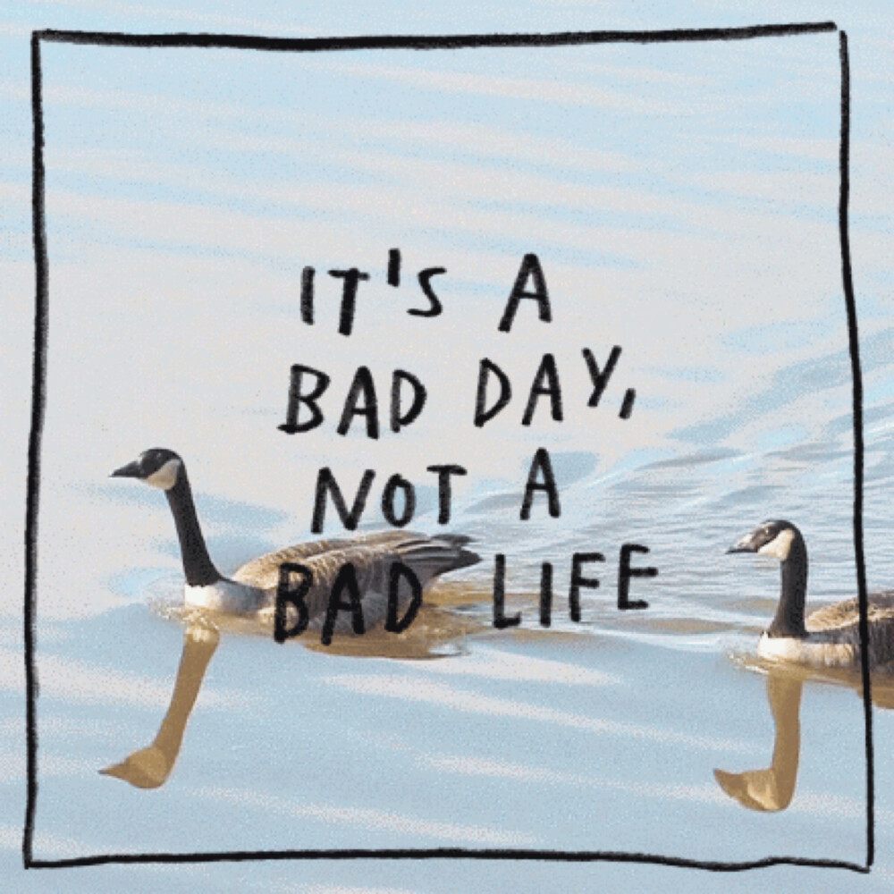 its a bad day，not a bad life