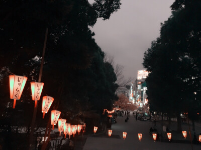 実撮影「東京、上野公園」初春、桜見祭り「みのり様」