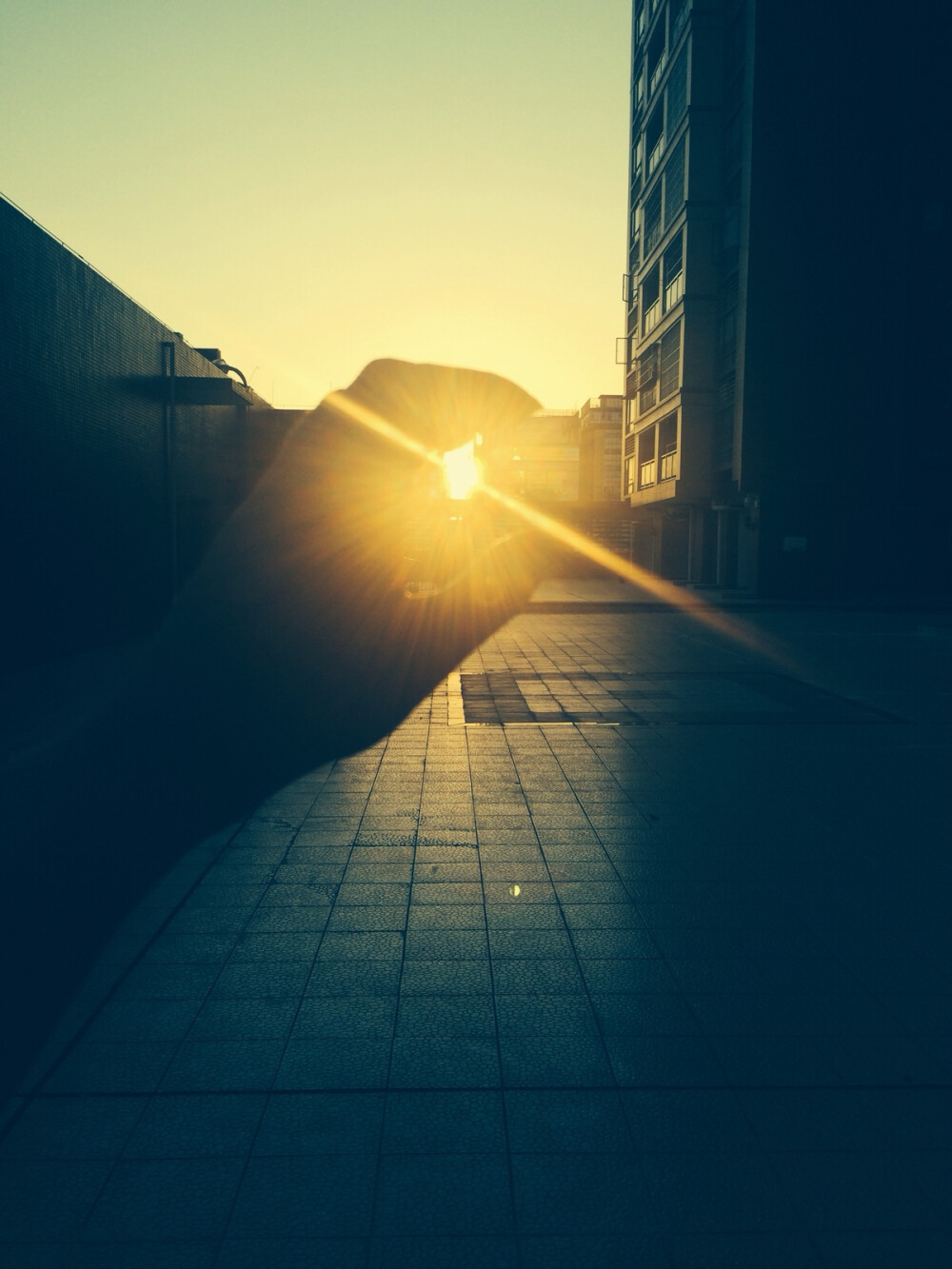 一路奔跑，以为抓住夕阳就没有黑夜