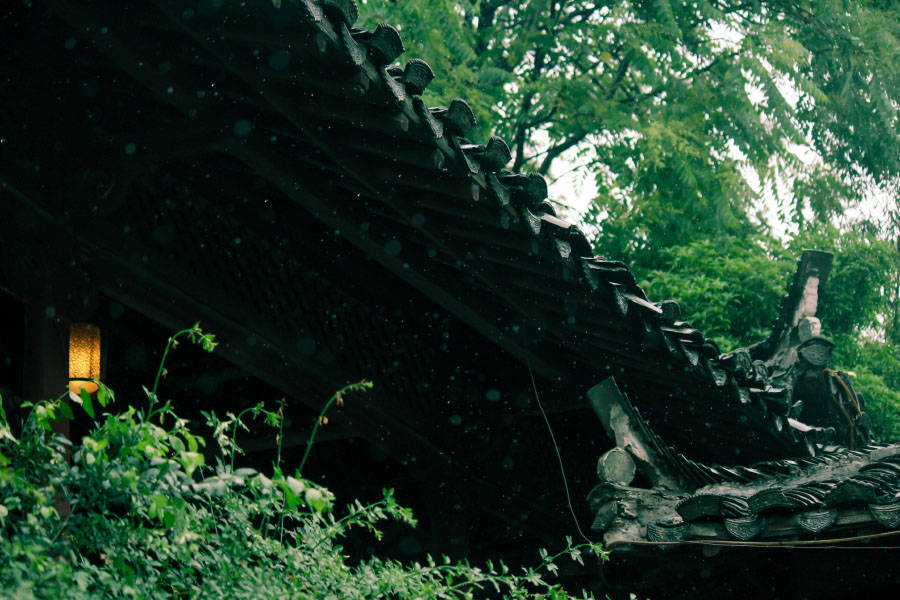 空山新雨后