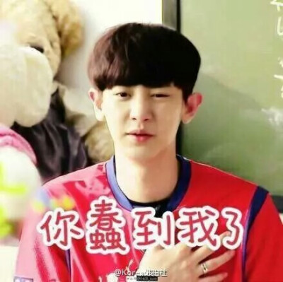 朴灿烈撕逼表情包！！！ 你蠢到我了